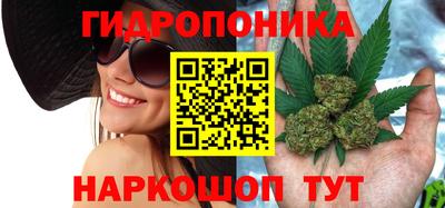 mdpv Гай